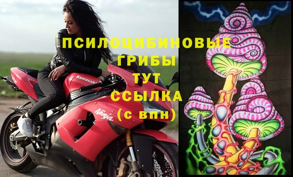 стаф Алексин