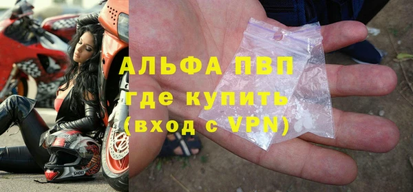 стаф Алексин