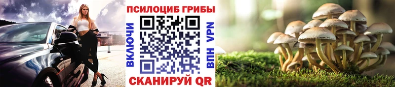 Псилоцибиновые грибы мицелий купить наркотики цена Вилючинск
